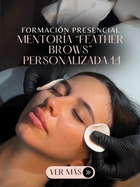 Feather Brows Curso Nanoblading Mentoría Presencial Personalizada, Mentoría Online Las Condes, Machalí, Rancagua