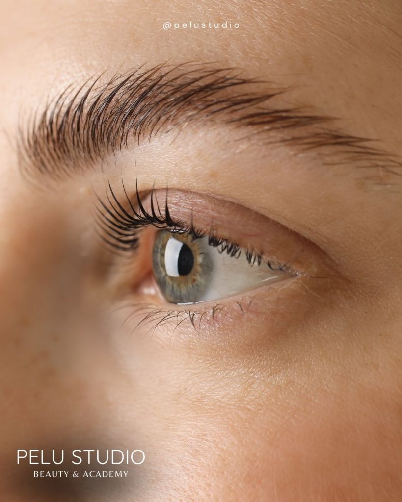 Lash Therapy: Nutrición para tus pestañas
