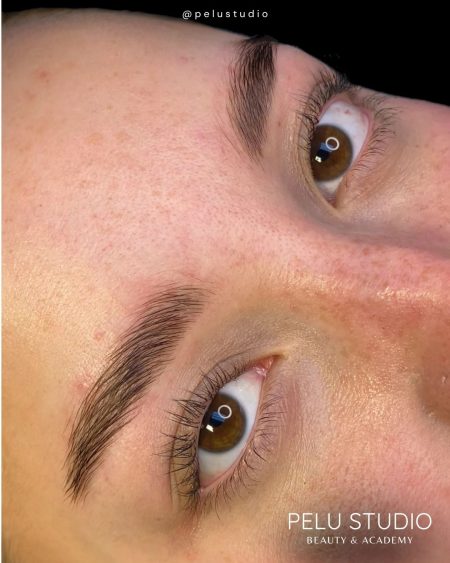 Brow Lamination Lash Lifting de pestañas Pelu studio Las Condes Machalí Rancagua