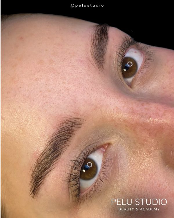 Perfect Brows: Brow Lamination Laminado de cejas