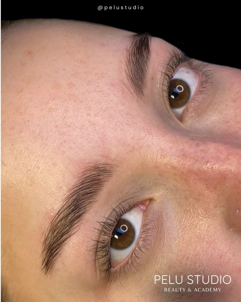 Perfect Brows