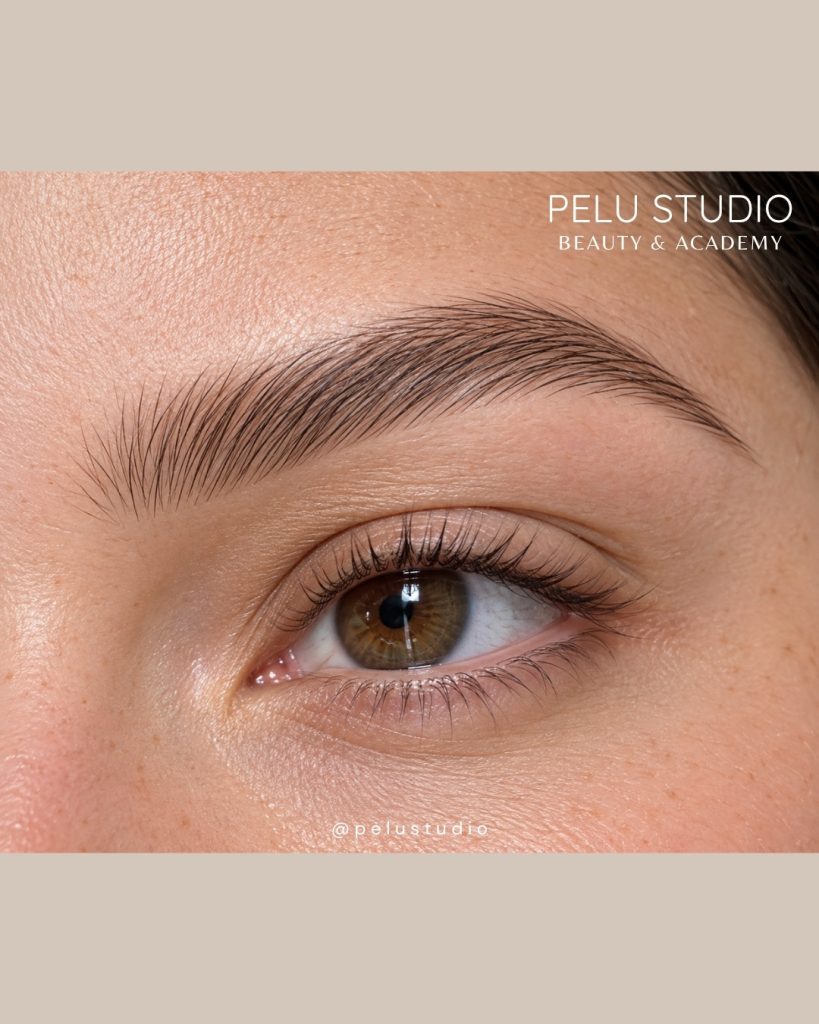 Hairstrokes Método "Feather Brows"